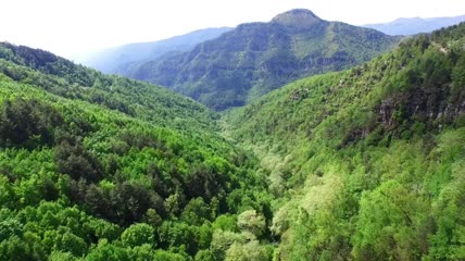 从空中俯瞰森林和山脉