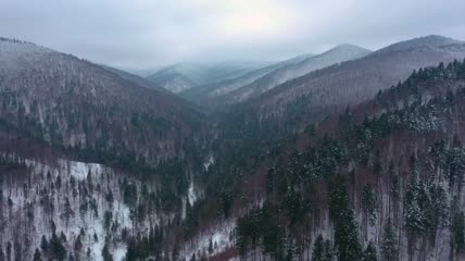 冬天的松林山脉鸟瞰