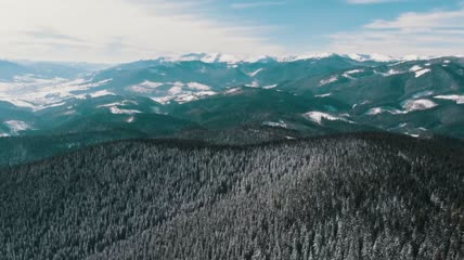 飞过白雪覆盖的森林和群山景观航拍