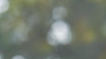 几滴雨水