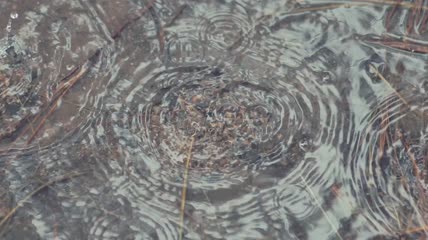 落在水坑里的水滴