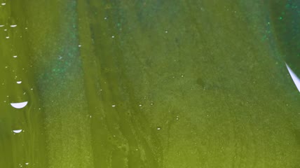 绿色液体质地