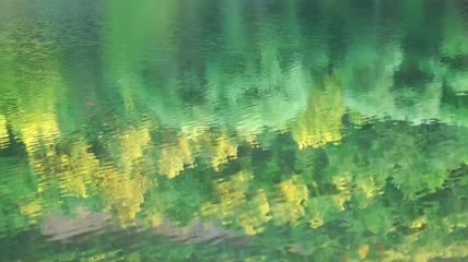 平静的河水中倒映着的草甸特写