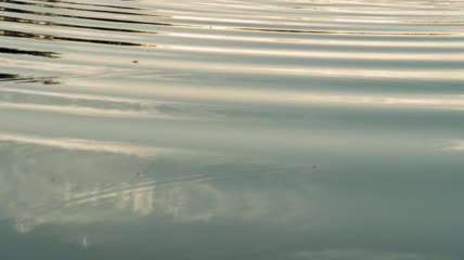 水波荡漾