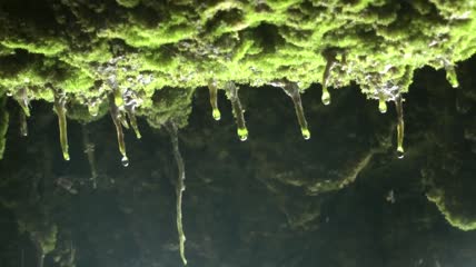 水滴落在洞穴上近距离观察
