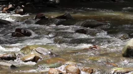 水流过岩石和原木