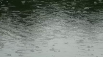 水面上的雨滴