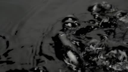 水泡