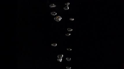 水下的小气泡