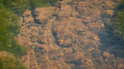 水下小溪石