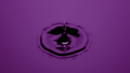 水在紫色的表面上泛起涟漪
