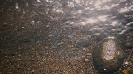 阳光反射在河里特写视频