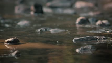 一条有岩石的河流特写实拍