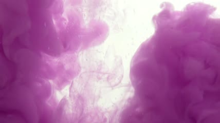 在白色背景上混入水中的紫色视频