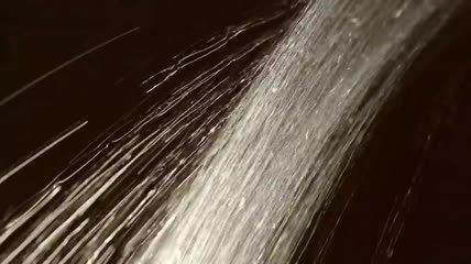 在深色背景的衬托下露出水面