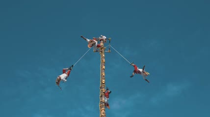 墨西哥展特写实拍