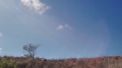 晴朗蓝天的沙漠景观实拍