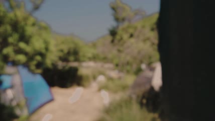 树木间的露营地实拍