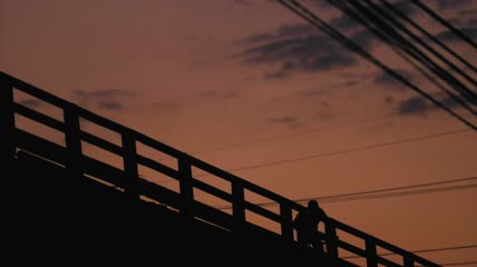 在桥上骑车的人实拍