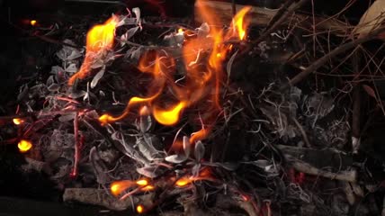 用树枝做的营火特写实拍