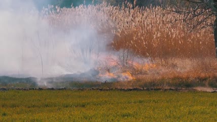 在田野里奔跑的消防员实拍