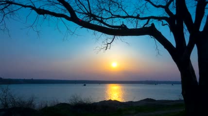 湖中夕阳下的一棵树的剪影