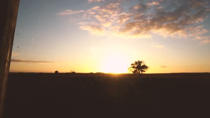牧场里的夕阳