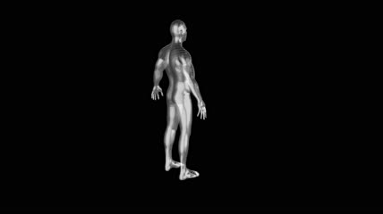 亮银色条纹3D人体旋转展示素材