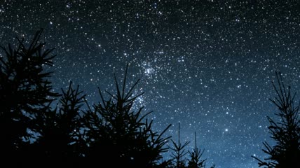 4k夜晚的星空视频
