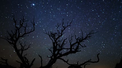 灿烂星空视频