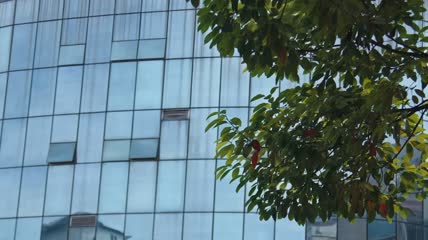 4k实拍CBD高楼建筑外墙空镜头素材