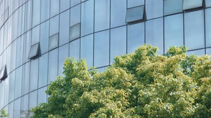 4k实拍高楼CBD建筑外墙空镜头