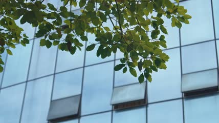 4k实拍CBD建筑外墙空镜头素材