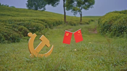 4k实拍户外五星红旗党徽