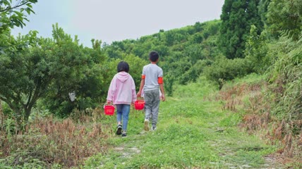 4k杨梅基地小朋友采摘杨梅实拍素材