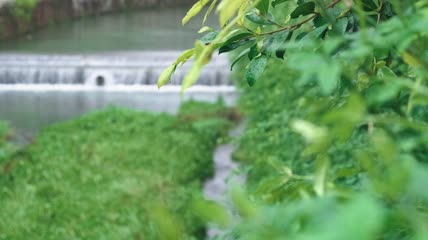4k实拍空镜头唯美自然风光素材