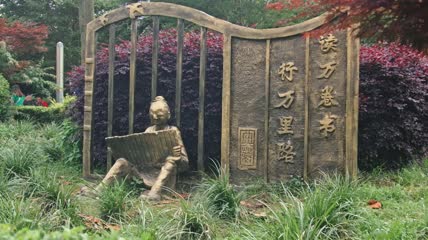4k实拍读万卷书行万里路