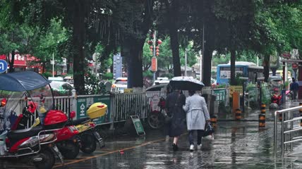 4k实拍雨中行人打伞素材