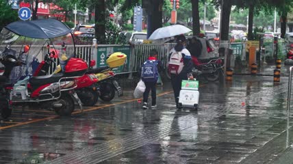 实拍雨中行人打伞 4k