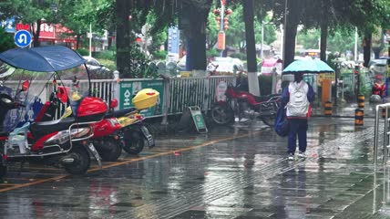 雨中行人打伞4k实拍
