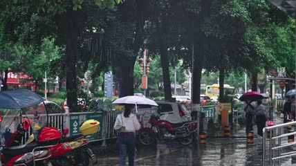 4k实拍雨中行人打伞