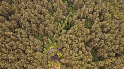 4k航拍森林公园露营基地素材