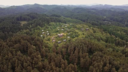 森林公园露营基地4k航拍