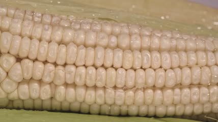 4k实拍升格玉米水滴
