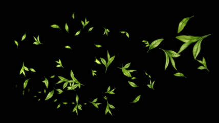 粒子飞舞 茶叶飘动