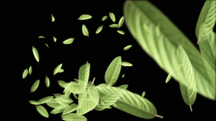 粒子飞舞树叶飞舞