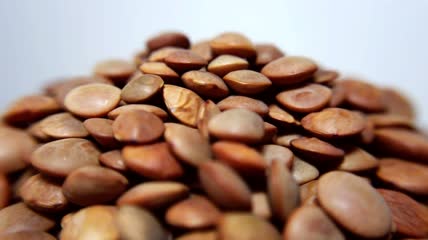 扁豆特写实拍