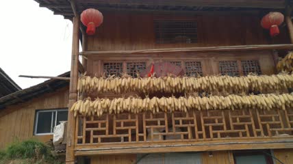 湖北恩施州土家吊脚楼上的丰收玉米