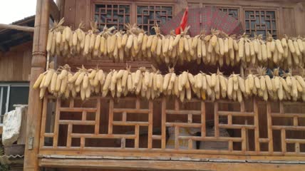 湖北恩施州土家吊脚楼上的丰收玉米