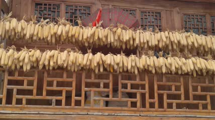 湖北恩施州土家吊脚楼上的丰收玉米